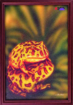 南美角蛙畫框(含框)