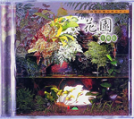 花園生態缸VCD